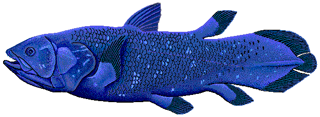 picture of a coelacanth